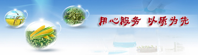 青青草视频污APP青青草AV视频APP免费下载廠家用心服務&middot;以質為先