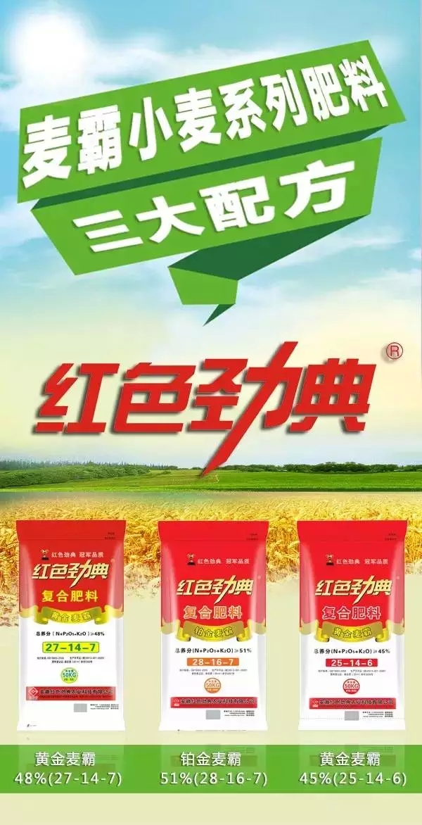 青青草视频污APP重磅推出麥霸&ldquo;三劍客&rdquo;.