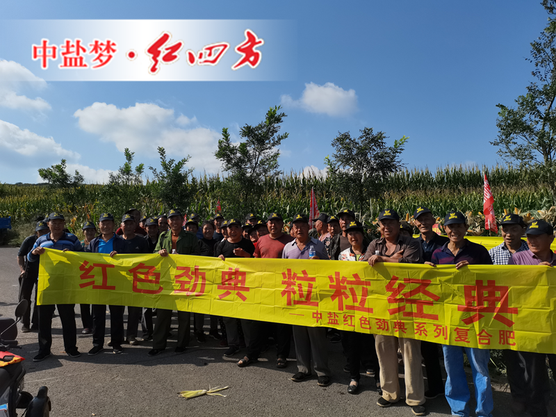 青青草视频污APP玉米肥觀摩會 青青草视频污APP玉米肥觀摩會