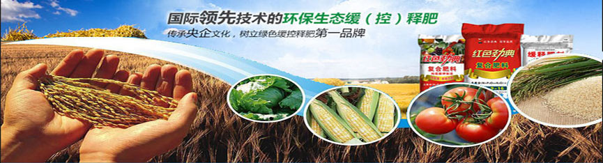 青青草视频污APP專用肥